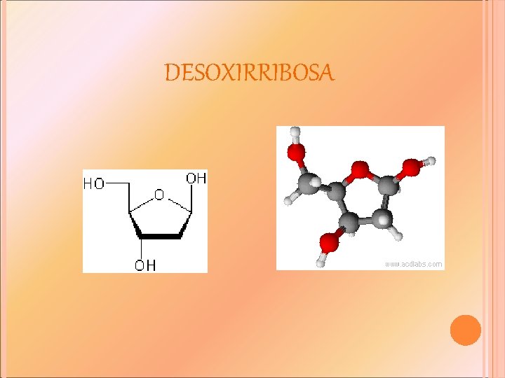 DESOXIRRIBOSA 