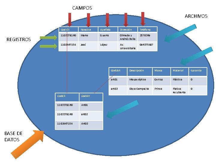 CAMPOS ARCHIVOS REGISTROS BASE DE DATOS Cod Cli Nombre Apellido Dirección Teléfono 1103378160 Mario