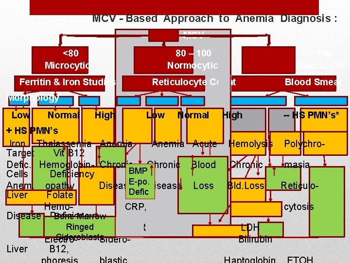 MCV - Based Approach to Anemia Diagnosis : MCV <80 Microcytic 80 – 100