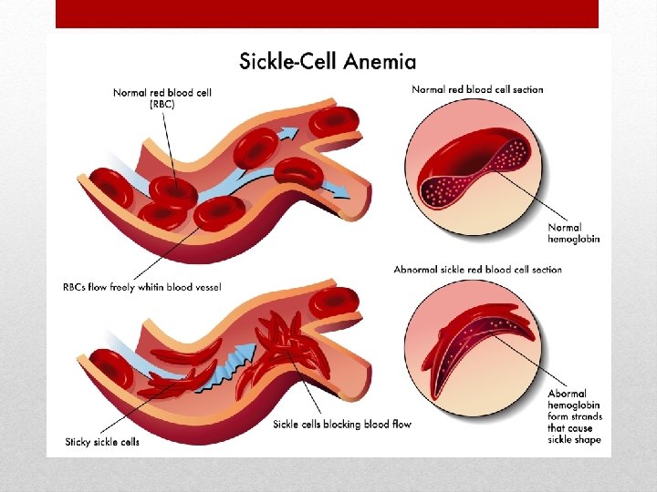  • For the remainder of this lecture, we’ll take a a quick look