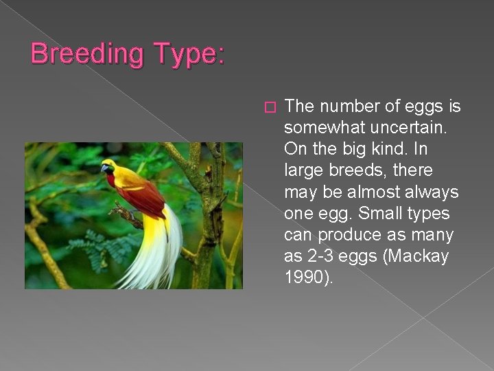 Breeding Type: � The number of eggs is somewhat uncertain. On the big kind.