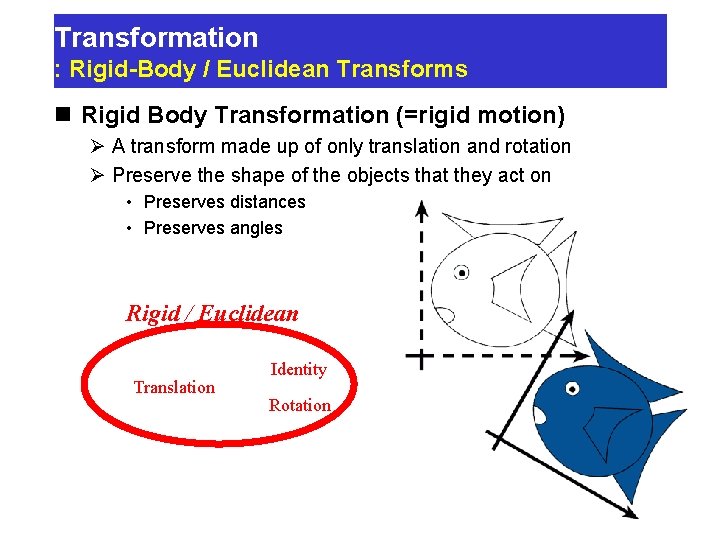 Transformation : Rigid-Body / Euclidean Transforms n Rigid Body Transformation (=rigid motion) Ø A Transformation : Rigid-Body / Euclidean Transforms n Rigid Body Transformation (=rigid motion) Ø A