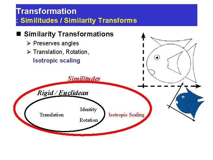 Transformation : Similitudes / Similarity Transforms n Similarity Transformations Ø Preserves angles Ø Translation, Transformation : Similitudes / Similarity Transforms n Similarity Transformations Ø Preserves angles Ø Translation,