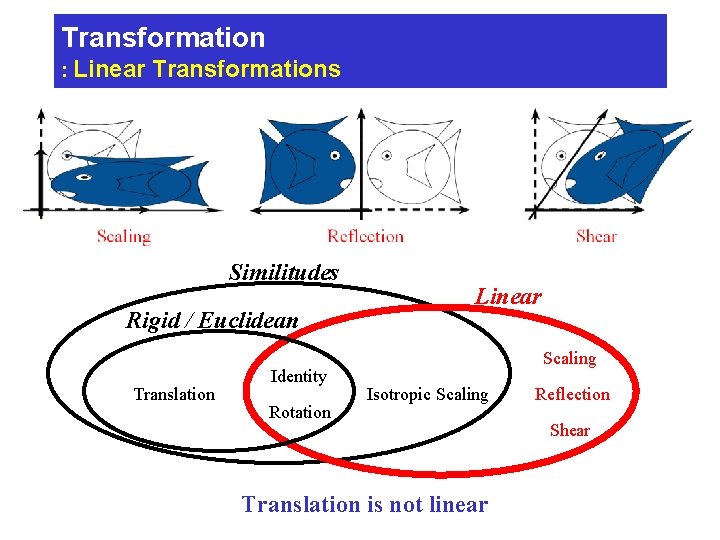 Transformation : Linear Transformations Similitudes Rigid / Euclidean Translation Identity Rotation Linear Scaling Isotropic Transformation : Linear Transformations Similitudes Rigid / Euclidean Translation Identity Rotation Linear Scaling Isotropic