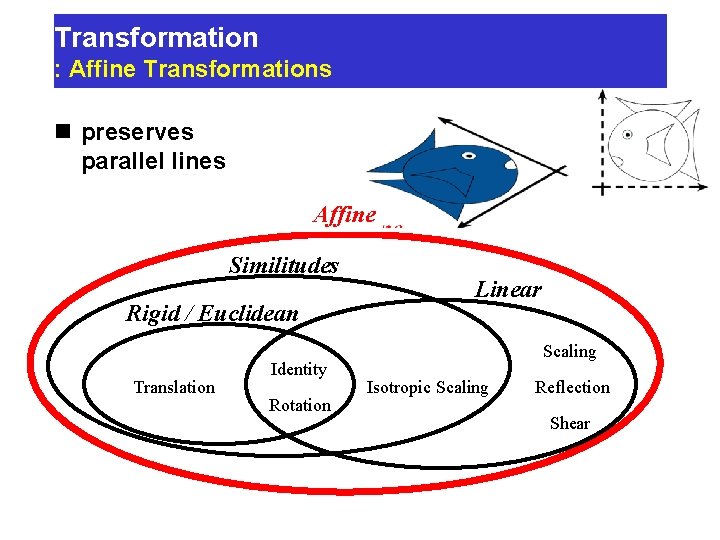 Transformation : Affine Transformations n preserves parallel lines Affine Similitudes Rigid / Euclidean Translation Transformation : Affine Transformations n preserves parallel lines Affine Similitudes Rigid / Euclidean Translation