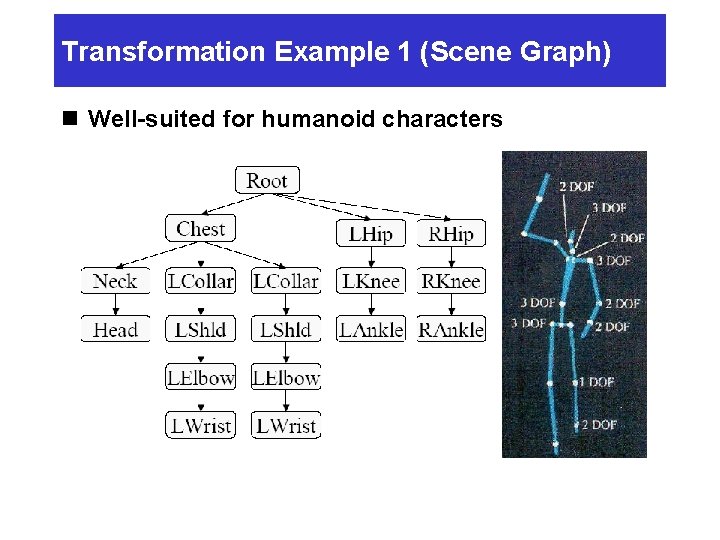 Transformation Example 1 (Scene Graph) n Well-suited for humanoid characters Transformation Example 1 (Scene Graph) n Well-suited for humanoid characters