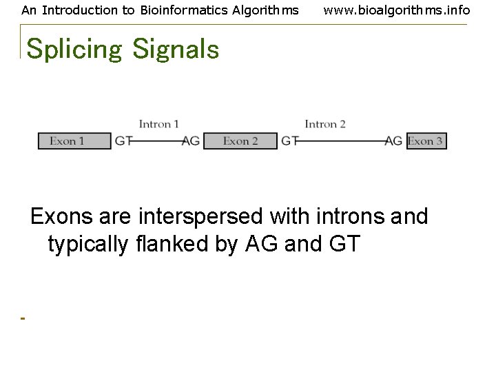 An Introduction to Bioinformatics Algorithms www. bioalgorithms. info Splicing Signals Exons are interspersed with