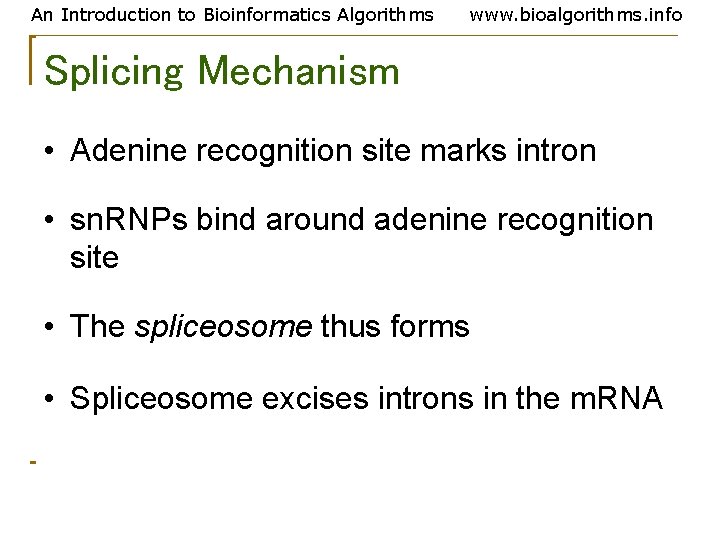 An Introduction to Bioinformatics Algorithms www. bioalgorithms. info Splicing Mechanism • Adenine recognition site