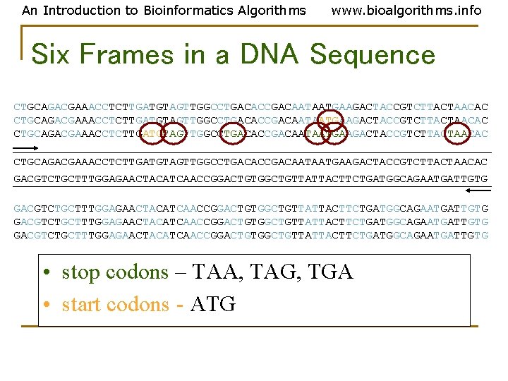 An Introduction to Bioinformatics Algorithms www. bioalgorithms. info Six Frames in a DNA Sequence