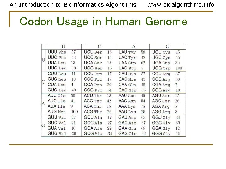 An Introduction to Bioinformatics Algorithms www. bioalgorithms. info Codon Usage in Human Genome 