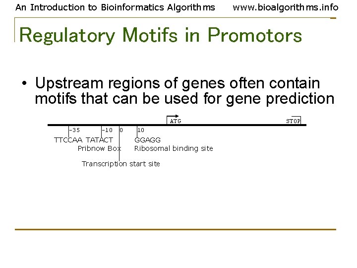 An Introduction to Bioinformatics Algorithms www. bioalgorithms. info Regulatory Motifs in Promotors • Upstream