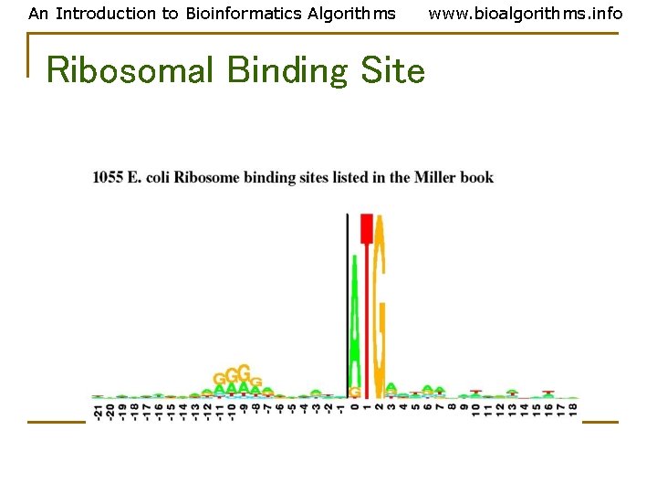 An Introduction to Bioinformatics Algorithms Ribosomal Binding Site www. bioalgorithms. info 