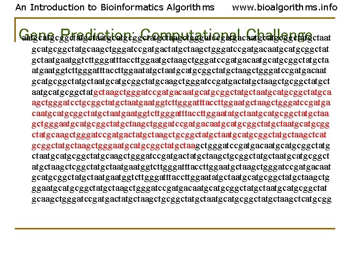 An Introduction to Bioinformatics Algorithms www. bioalgorithms. info Gene Prediction: Computational Challenge aatgcatgcggctatgctaagctgggatccgatgacaatgcggctatgctaat gcatgcggctatgcaagctgggatccgatgactatgctaagctgggatccgatgacaatgcggctat