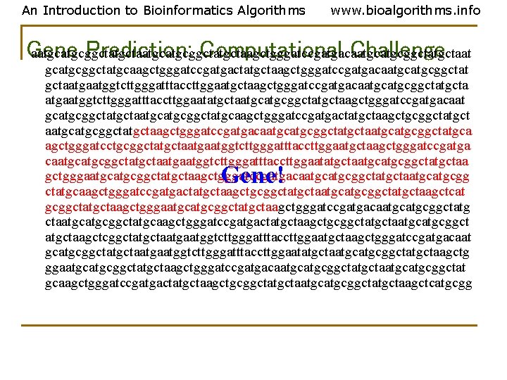 An Introduction to Bioinformatics Algorithms www. bioalgorithms. info Gene Prediction: Computational Challenge aatgcatgcggctatgctaagctgggatccgatgacaatgcggctatgctaat gcatgcggctatgcaagctgggatccgatgactatgctaagctgggatccgatgacaatgcggctat