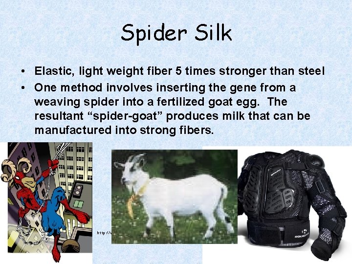 Spider Silk • Elastic, light weight fiber 5 times stronger than steel • One