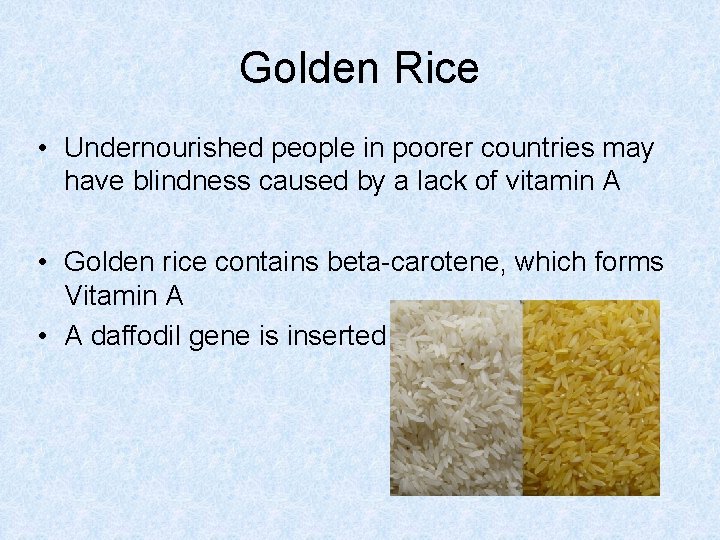 Golden Rice • Undernourished people in poorer countries may have blindness caused by a