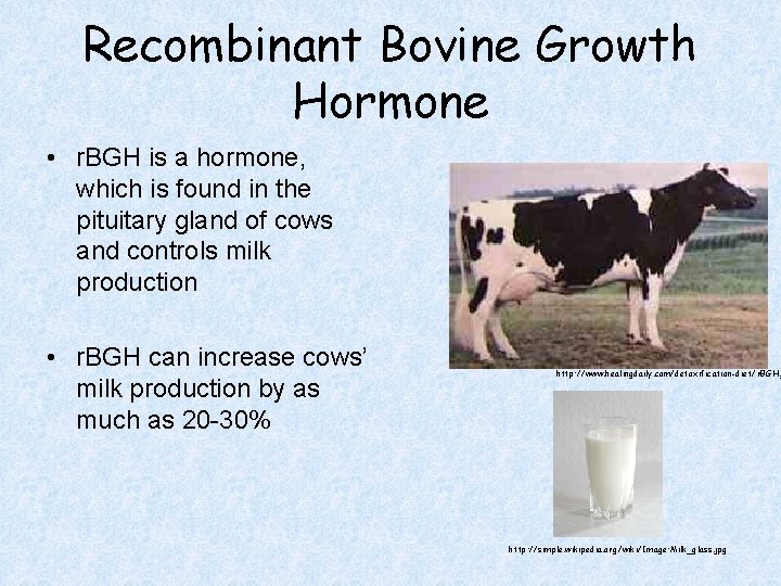 Recombinant Bovine Growth Hormone • r. BGH is a hormone, which is found in