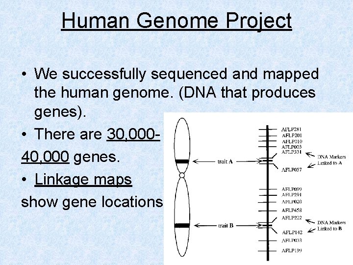 Human Genome Project • We successfully sequenced and mapped the human genome. (DNA that