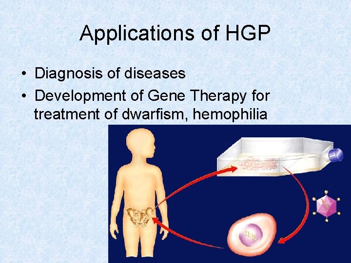 Applications of HGP • Diagnosis of diseases • Development of Gene Therapy for treatment