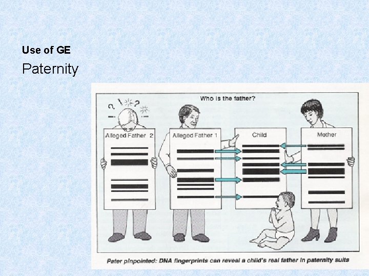 Use of GE Paternity 