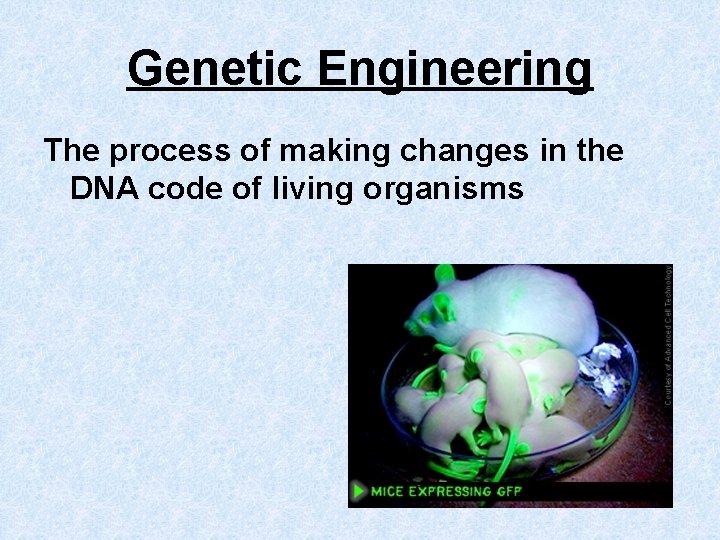 Genetic Engineering The process of making changes in the DNA code of living organisms