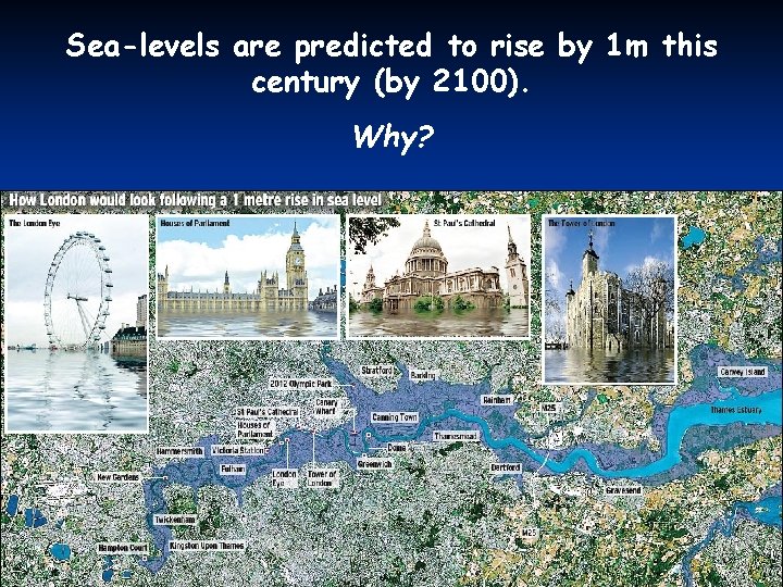 Sea-levels are predicted to rise by 1 m this century (by 2100). Why? 