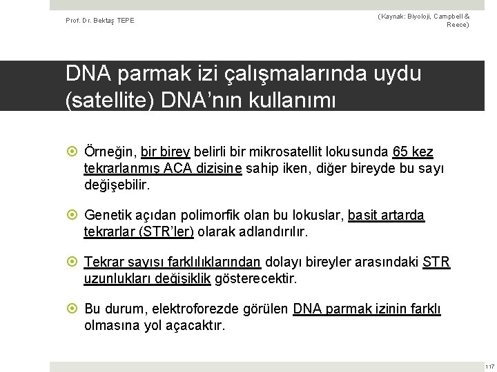 Prof. Dr. Bektaş TEPE (Kaynak: Biyoloji, Campbell & Reece) DNA parmak izi çalışmalarında uydu