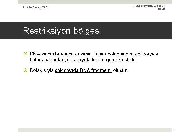 Prof. Dr. Bektaş TEPE (Kaynak: Biyoloji, Campbell & Reece) Restriksiyon bölgesi DNA zinciri boyunca