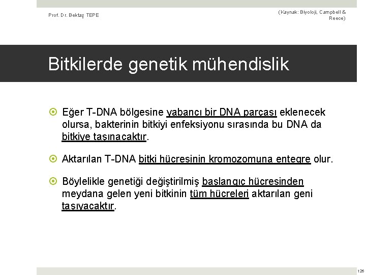 Prof. Dr. Bektaş TEPE (Kaynak: Biyoloji, Campbell & Reece) Bitkilerde genetik mühendislik Eğer T-DNA