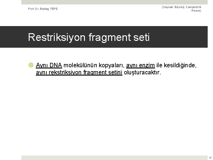 Prof. Dr. Bektaş TEPE (Kaynak: Biyoloji, Campbell & Reece) Restriksiyon fragment seti Aynı DNA