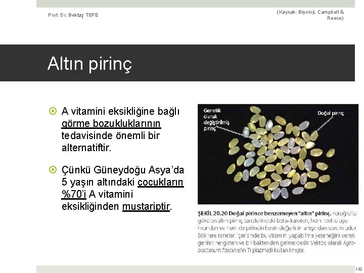 Prof. Dr. Bektaş TEPE (Kaynak: Biyoloji, Campbell & Reece) Altın pirinç A vitamini eksikliğine