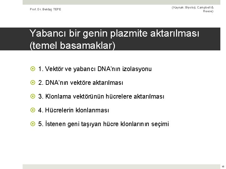 Prof. Dr. Bektaş TEPE (Kaynak: Biyoloji, Campbell & Reece) Yabancı bir genin plazmite aktarılması