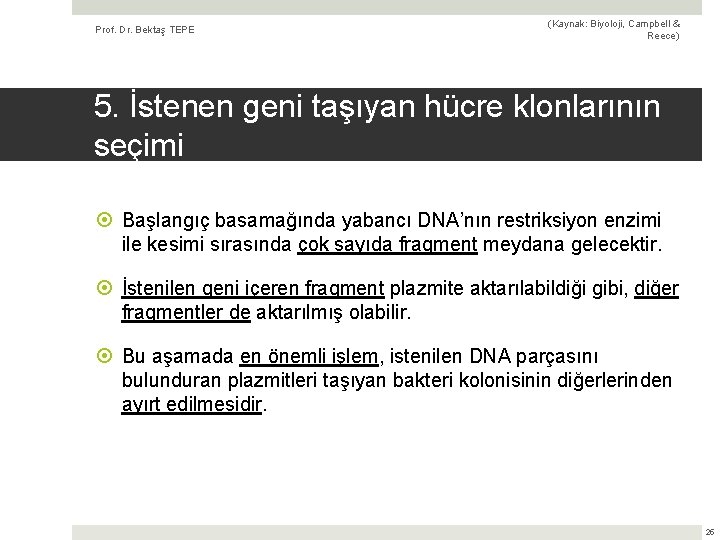 Prof. Dr. Bektaş TEPE (Kaynak: Biyoloji, Campbell & Reece) 5. İstenen geni taşıyan hücre