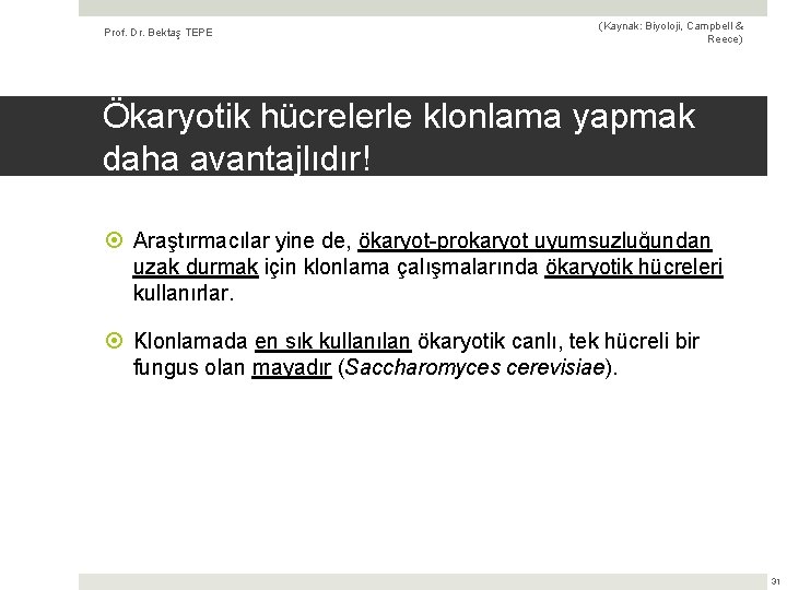 Prof. Dr. Bektaş TEPE (Kaynak: Biyoloji, Campbell & Reece) Ökaryotik hücrelerle klonlama yapmak daha