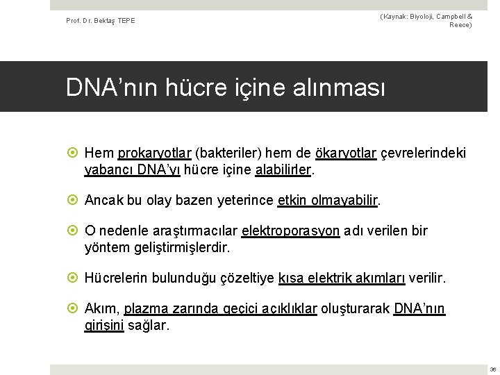 Prof. Dr. Bektaş TEPE (Kaynak: Biyoloji, Campbell & Reece) DNA’nın hücre içine alınması Hem