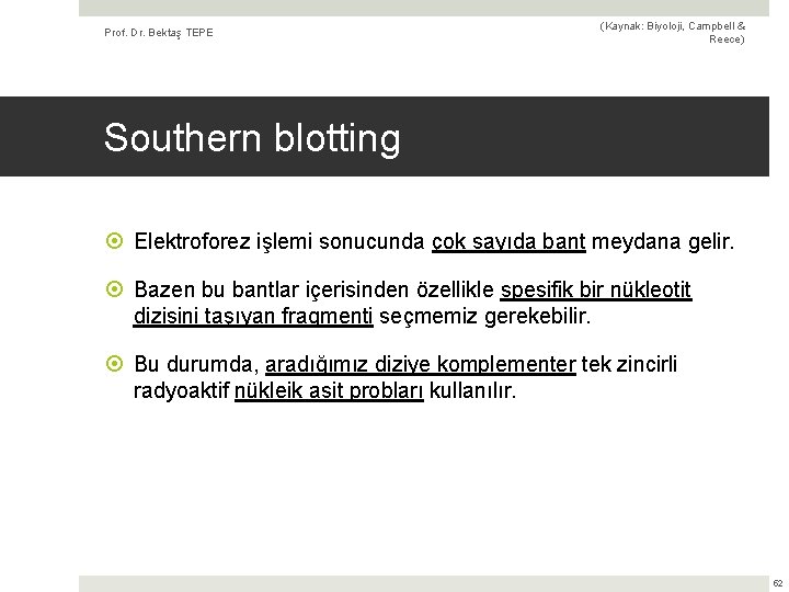 Prof. Dr. Bektaş TEPE (Kaynak: Biyoloji, Campbell & Reece) Southern blotting Elektroforez işlemi sonucunda