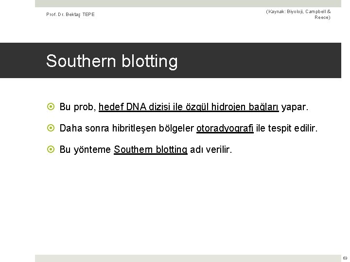 Prof. Dr. Bektaş TEPE (Kaynak: Biyoloji, Campbell & Reece) Southern blotting Bu prob, hedef