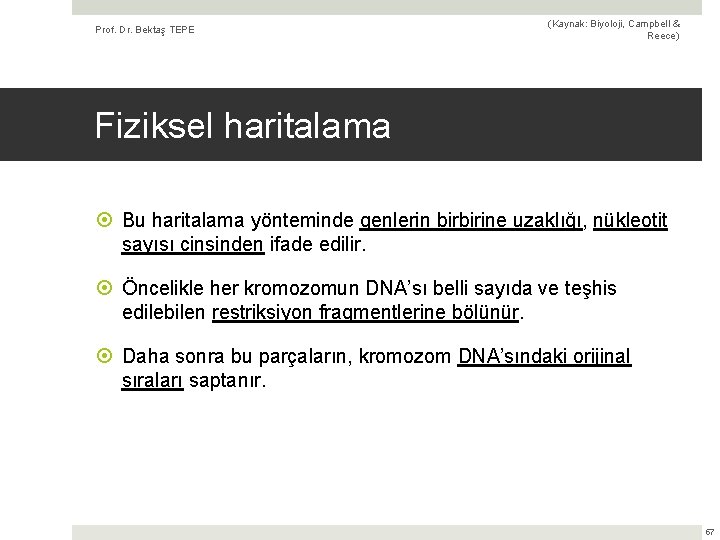 Prof. Dr. Bektaş TEPE (Kaynak: Biyoloji, Campbell & Reece) Fiziksel haritalama Bu haritalama yönteminde