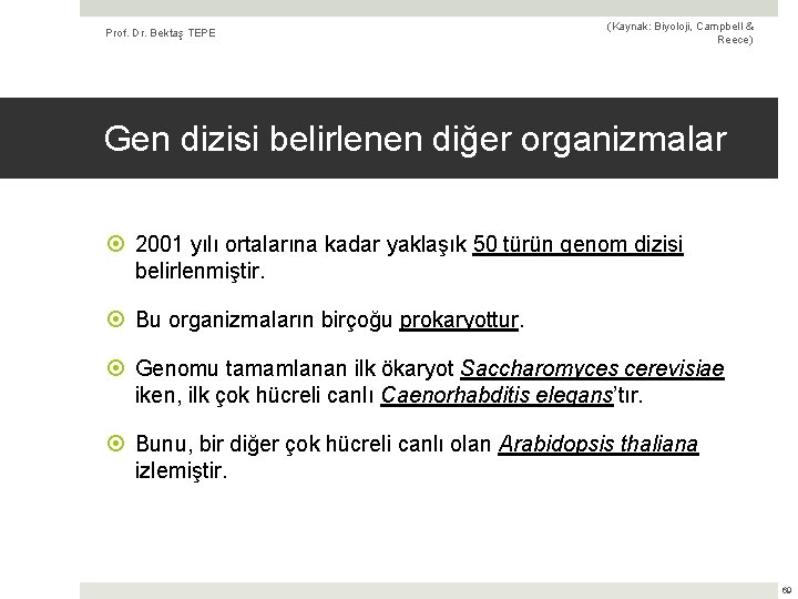 Prof. Dr. Bektaş TEPE (Kaynak: Biyoloji, Campbell & Reece) Gen dizisi belirlenen diğer organizmalar