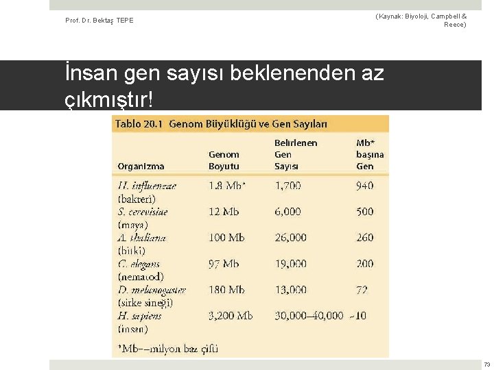 Prof. Dr. Bektaş TEPE (Kaynak: Biyoloji, Campbell & Reece) İnsan gen sayısı beklenenden az