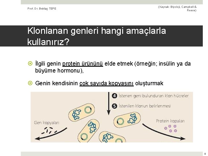 Prof. Dr. Bektaş TEPE (Kaynak: Biyoloji, Campbell & Reece) Klonlanan genleri hangi amaçlarla kullanırız?