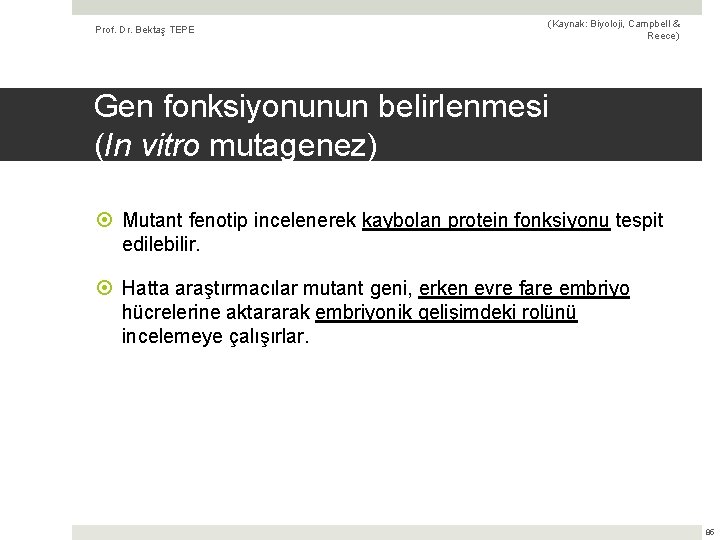 Prof. Dr. Bektaş TEPE (Kaynak: Biyoloji, Campbell & Reece) Gen fonksiyonunun belirlenmesi (In vitro