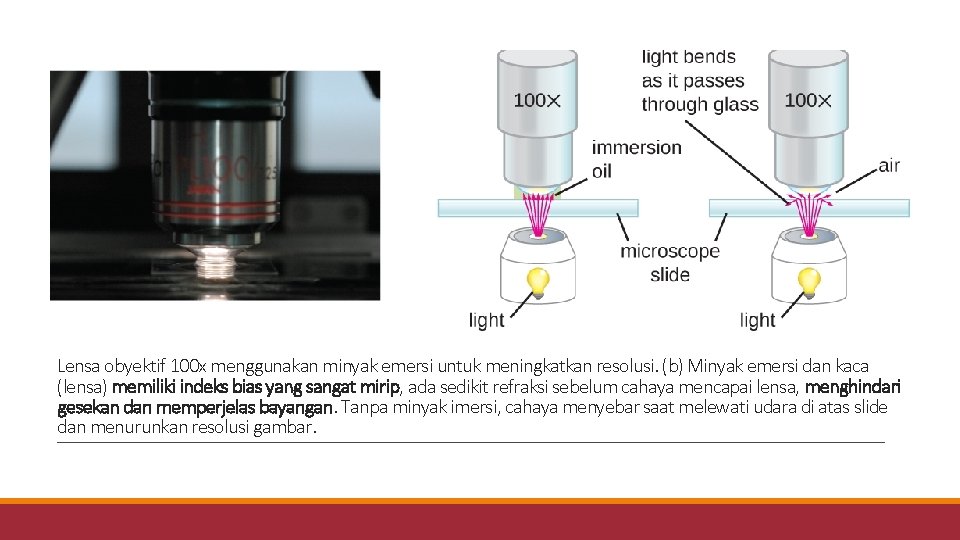 Lensa obyektif 100 x menggunakan minyak emersi untuk meningkatkan resolusi. (b) Minyak emersi dan Lensa obyektif 100 x menggunakan minyak emersi untuk meningkatkan resolusi. (b) Minyak emersi dan