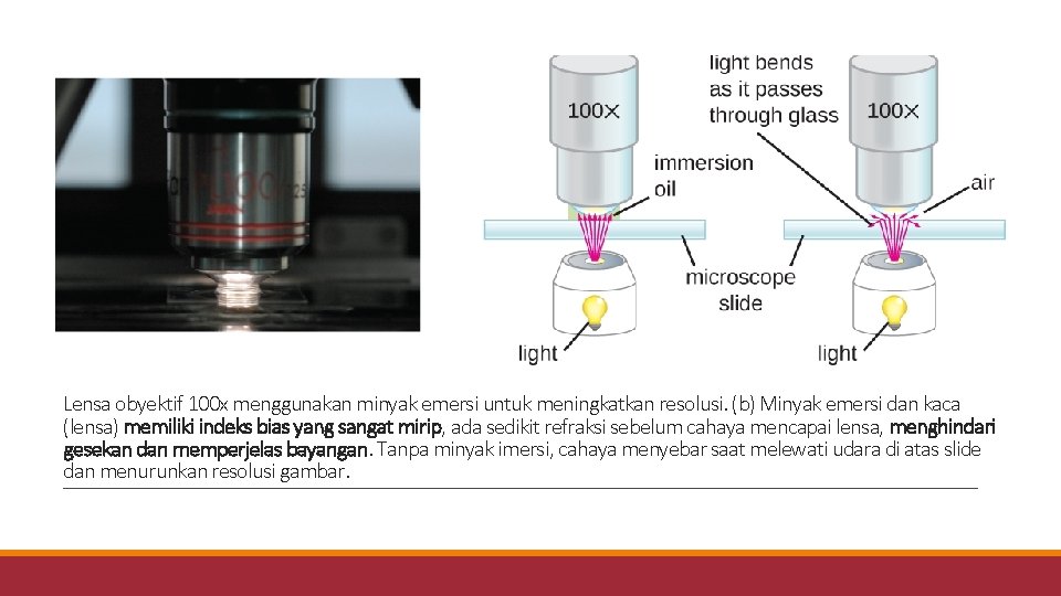 Lensa obyektif 100 x menggunakan minyak emersi untuk meningkatkan resolusi. (b) Minyak emersi dan