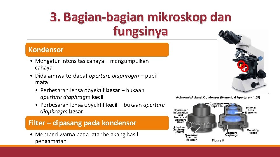 3. Bagian-bagian mikroskop dan fungsinya Kondensor • Mengatur intensitas cahaya – mengumpulkan cahaya • 3. Bagian-bagian mikroskop dan fungsinya Kondensor • Mengatur intensitas cahaya – mengumpulkan cahaya •