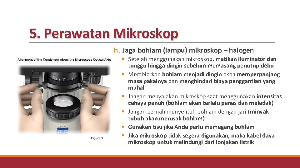 5. Perawatan Mikroskop h. Jaga bohlam (lampu) mikroskop – halogen § Setelah menggunakan mikroskop,