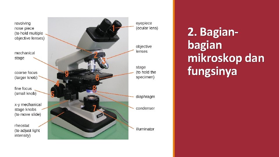 2. Bagianbagian mikroskop dan fungsinya 