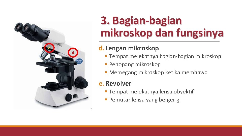 3. Bagian-bagian mikroskop dan fungsinya e d d. Lengan mikroskop § Tempat melekatnya bagian-bagian