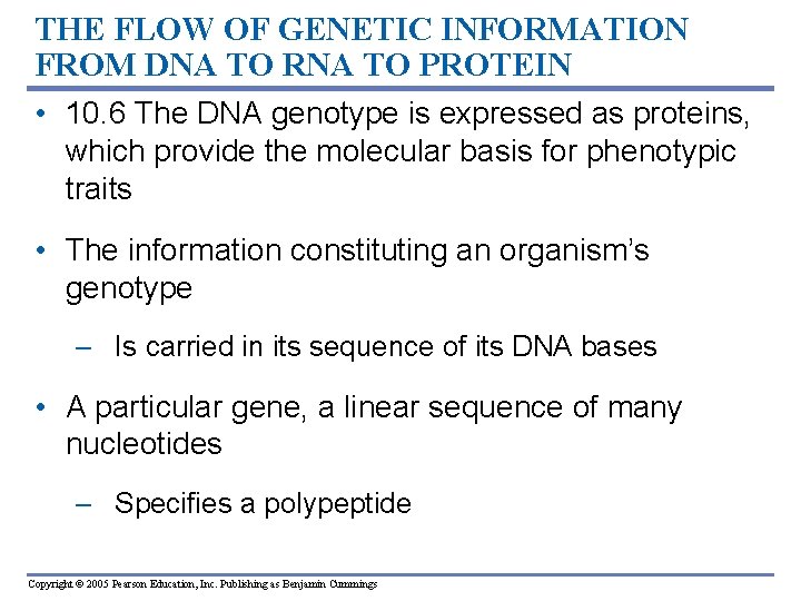 THE FLOW OF GENETIC INFORMATION FROM DNA TO RNA TO PROTEIN • 10. 6