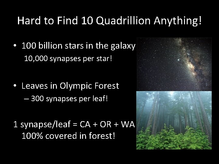 Hard to Find 10 Quadrillion Anything! • 100 billion stars in the galaxy 10,